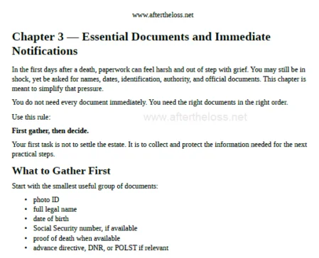 Preview of Essential Documents and Items to Secure